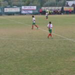 dsc_0331